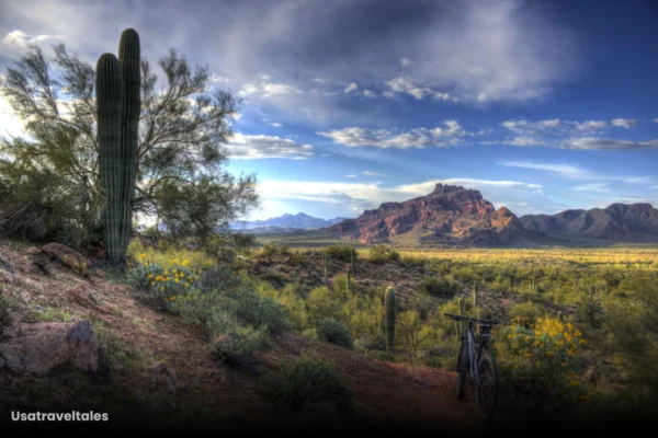 7 Best Hikes in Mesa, Arizona 7 Best Hikes in Mesa, Arizona