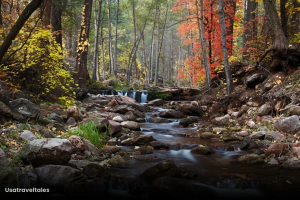 7 Easy Waterfall Hikes in Arizona for Beginners and Families 7 Easy Waterfall Hikes in Arizona for Beginners and Families