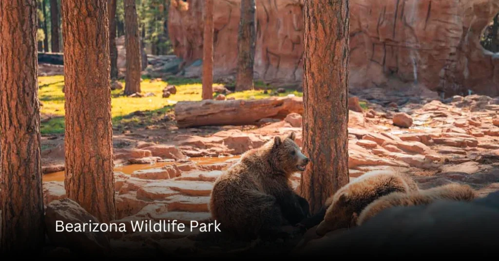 Bearizona Wildlife Park