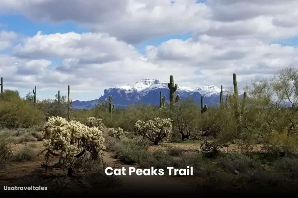 Cat Peaks Trail