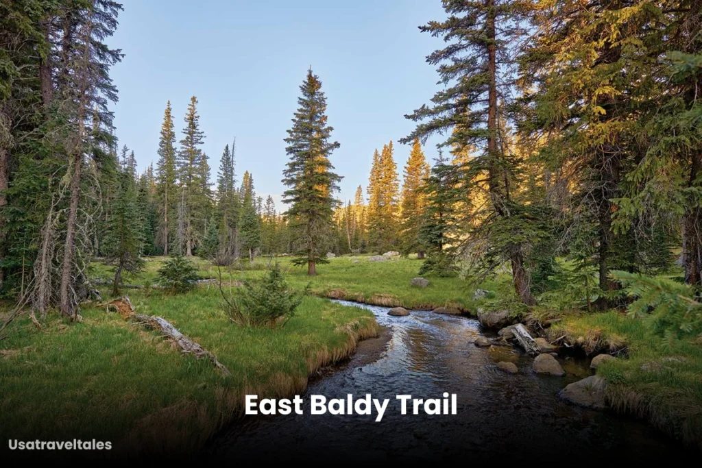 East Baldy Trail