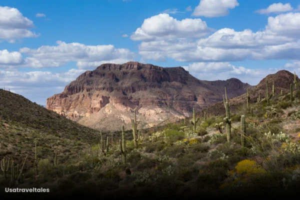 Hawes Trail System in Mesa, Arizona Hawes Trail System in Mesa, Arizona