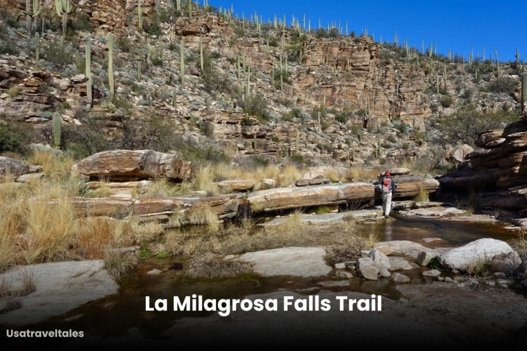 La Milagrosa Falls Trail