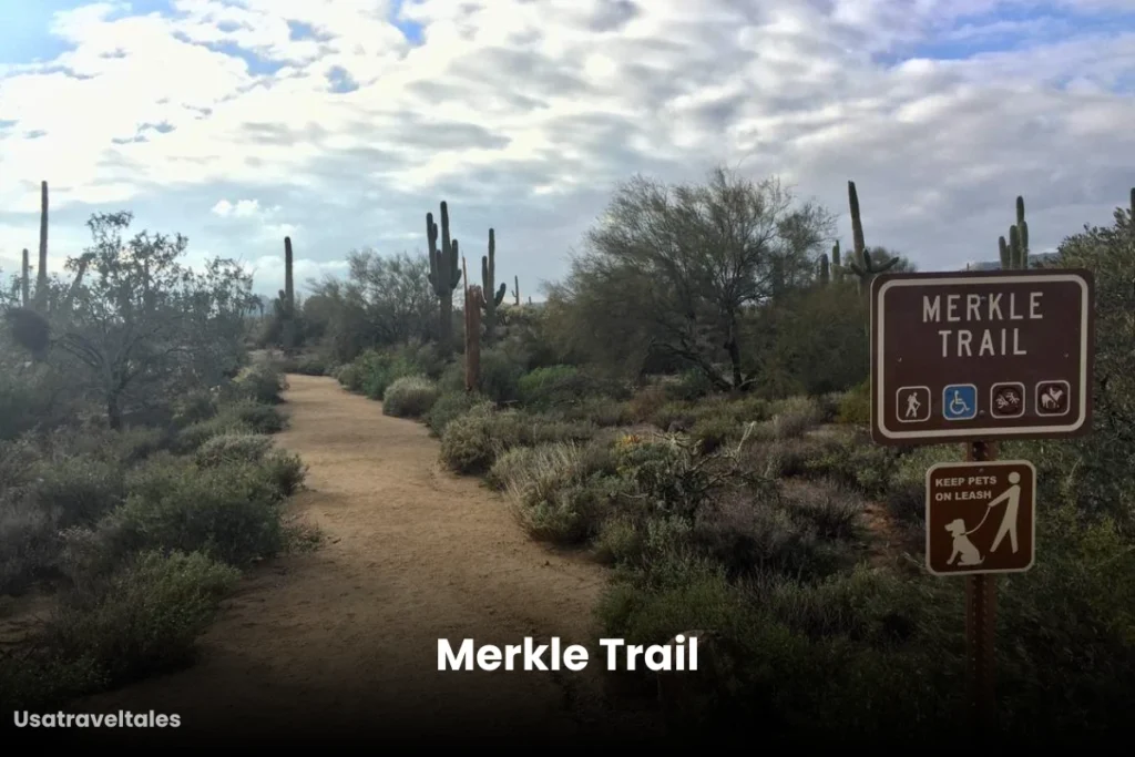 Merkle Trail
