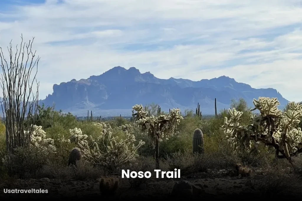 Noso Trail