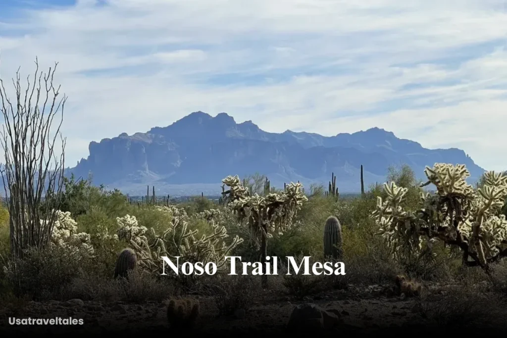 Noso Trail Mesa