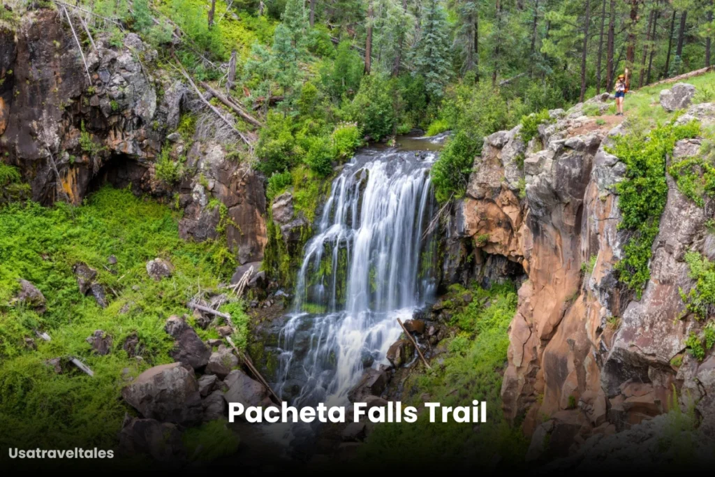 Pacheta Falls Trail