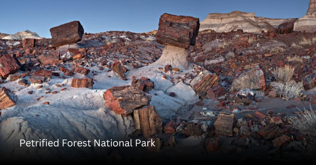 Petrified Forest National Park
