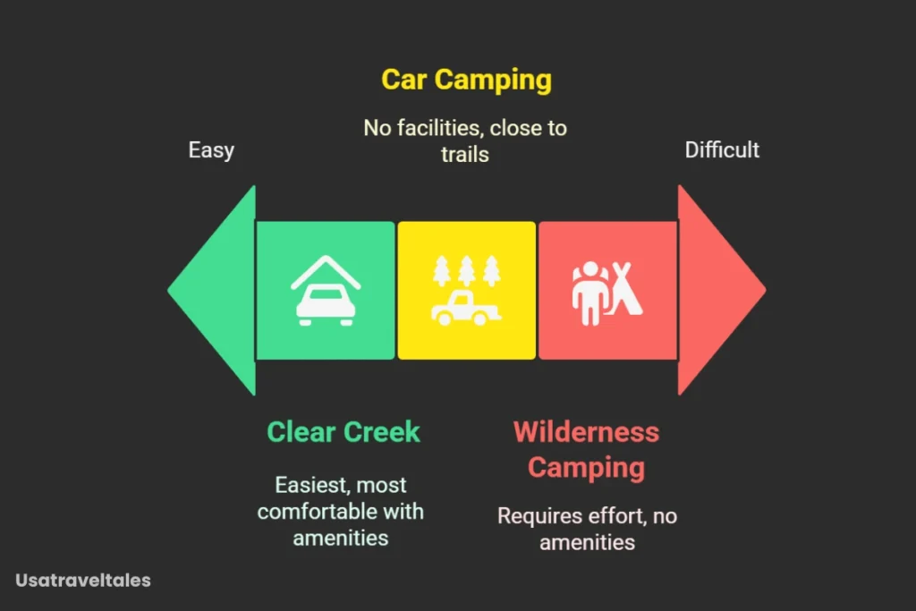 Which Camping Option Is the Most Popular