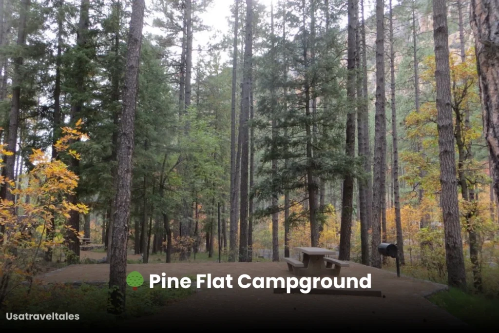🌳 Pine Flat Campground