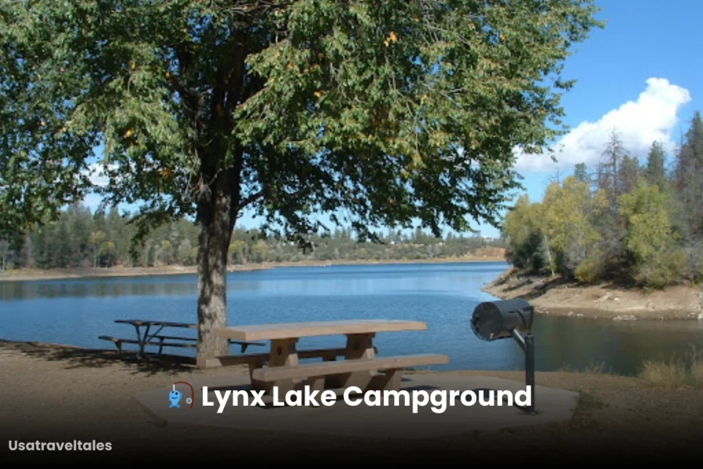 🎣 Lynx Lake Campground