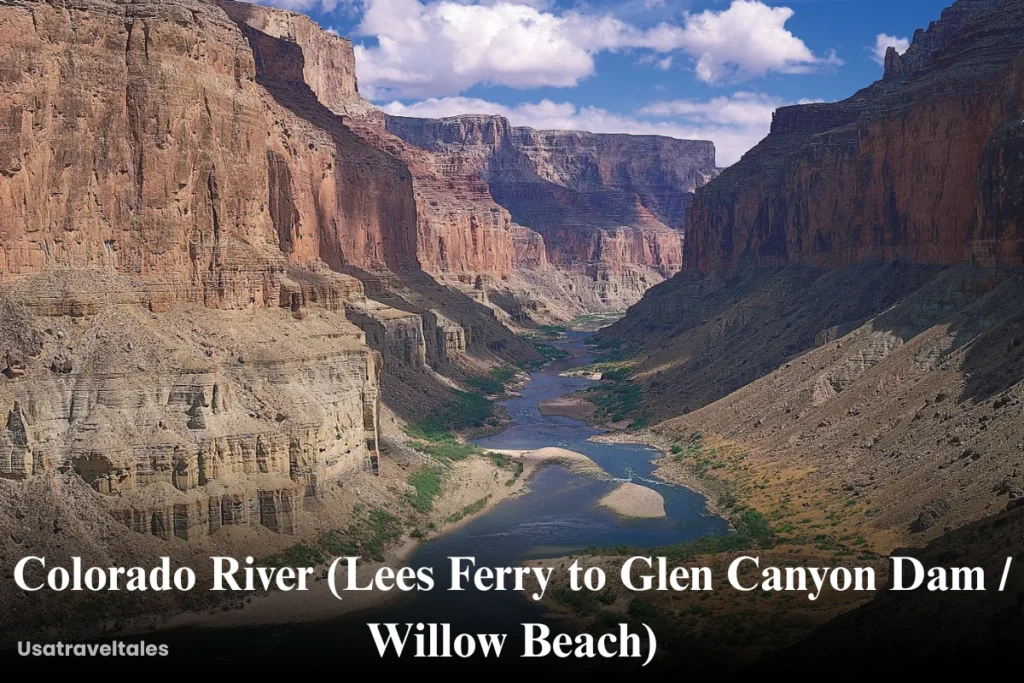 Colorado River (Lees Ferry to Glen Canyon Dam Willow Beach)