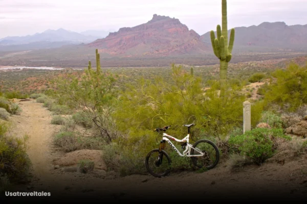 Complete Guide For Hawes Trail System Complete Guide For Hawes Trail System