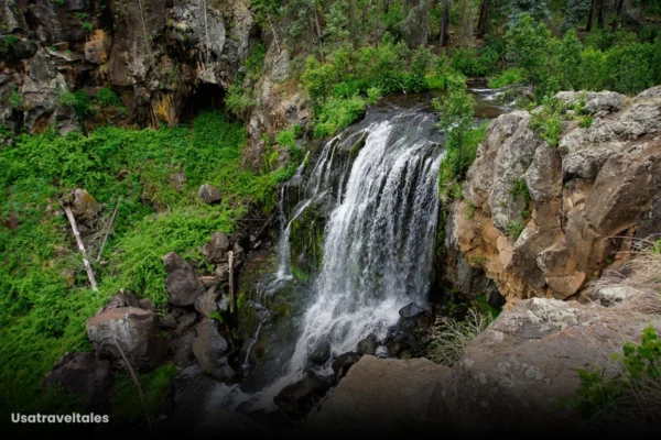 Pacheta Falls, Arizona: Visitor’s Guide Pacheta Falls, Arizona Everything You Need to Know Before You Go
