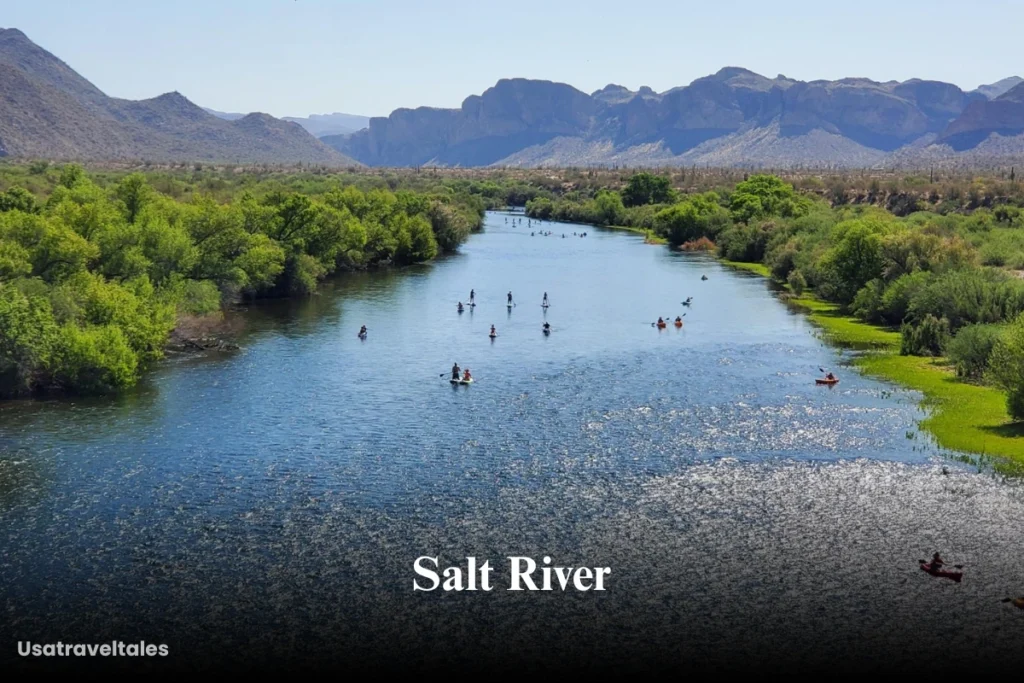 Salt River