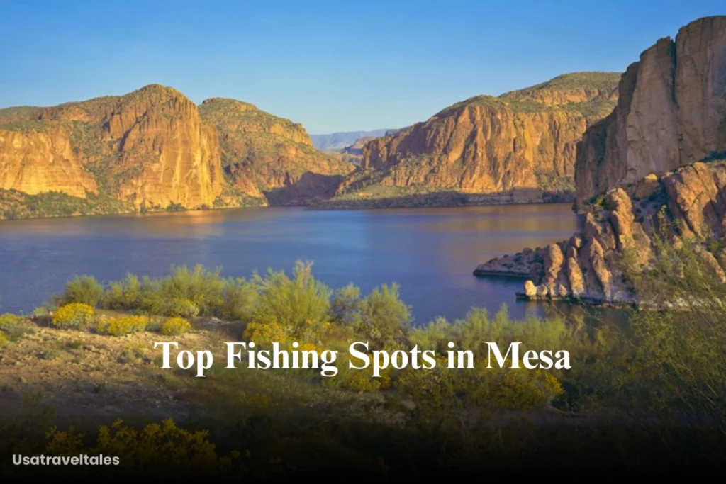 Top Fishing Spots in Mesa