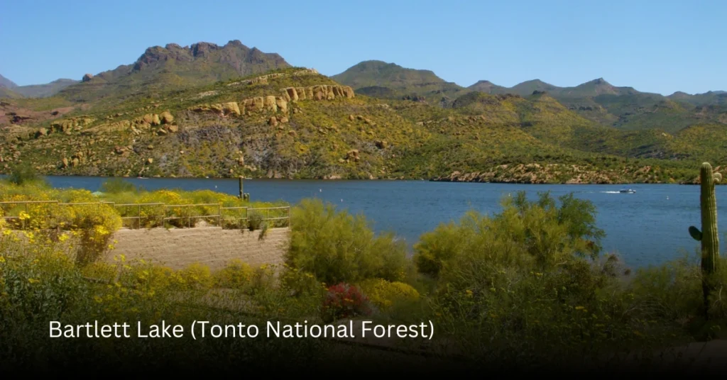 Bartlett Lake (Tonto National Forest)