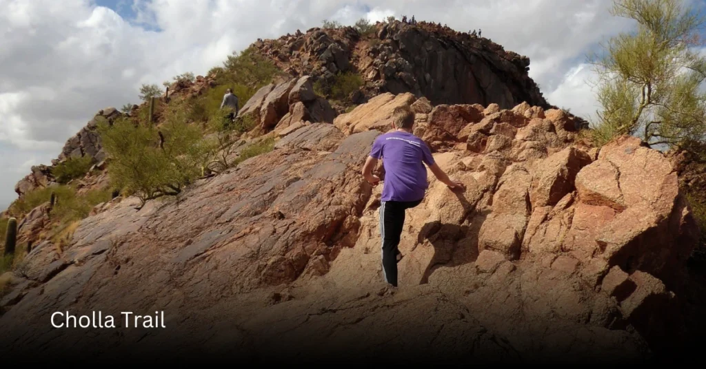 Cholla Trail