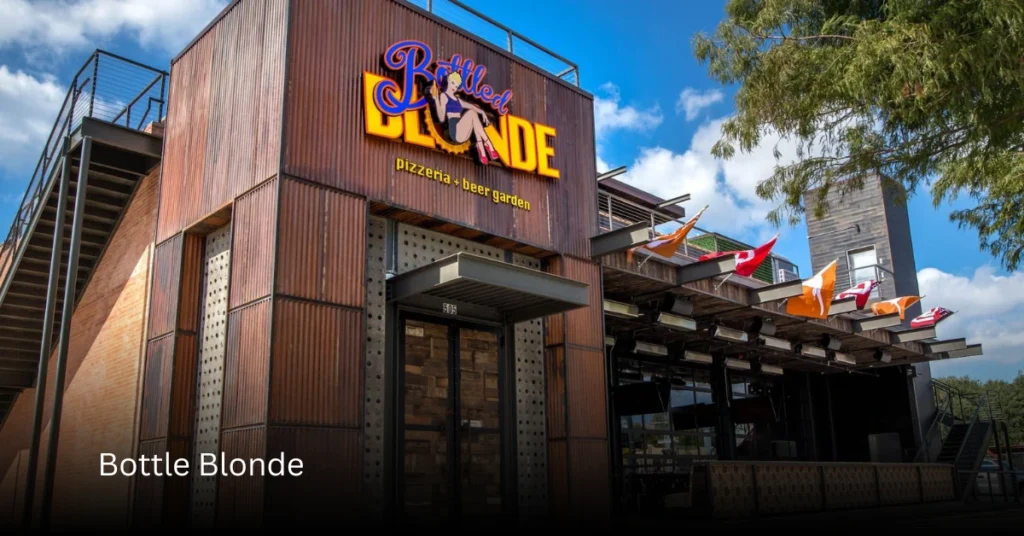 For the High-Energy & Dance Crowd Where the Party Never Stops