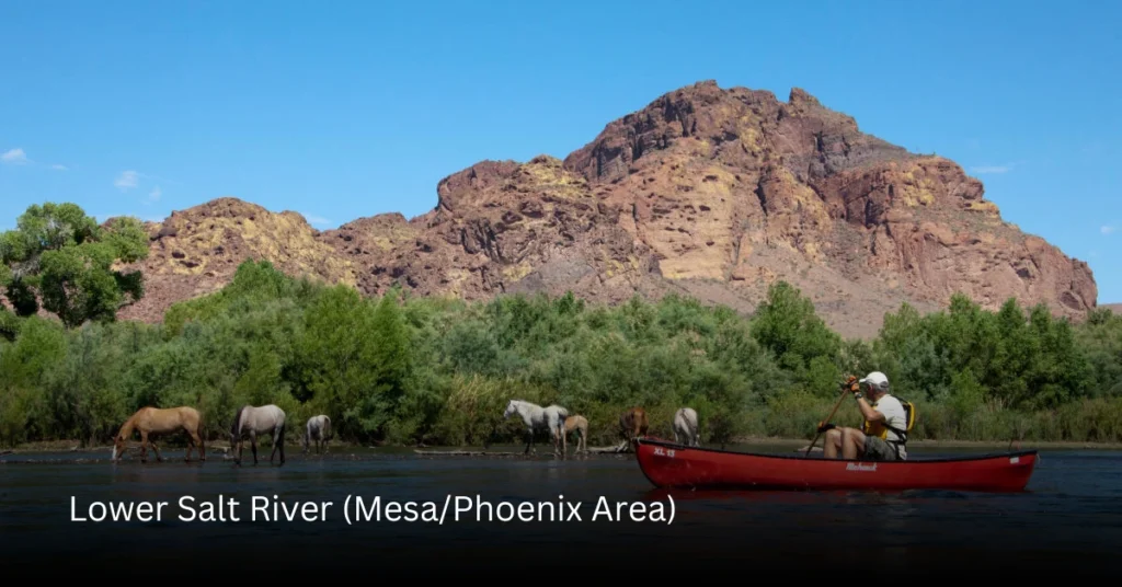Lower Salt River (MesaPhoenix Area)