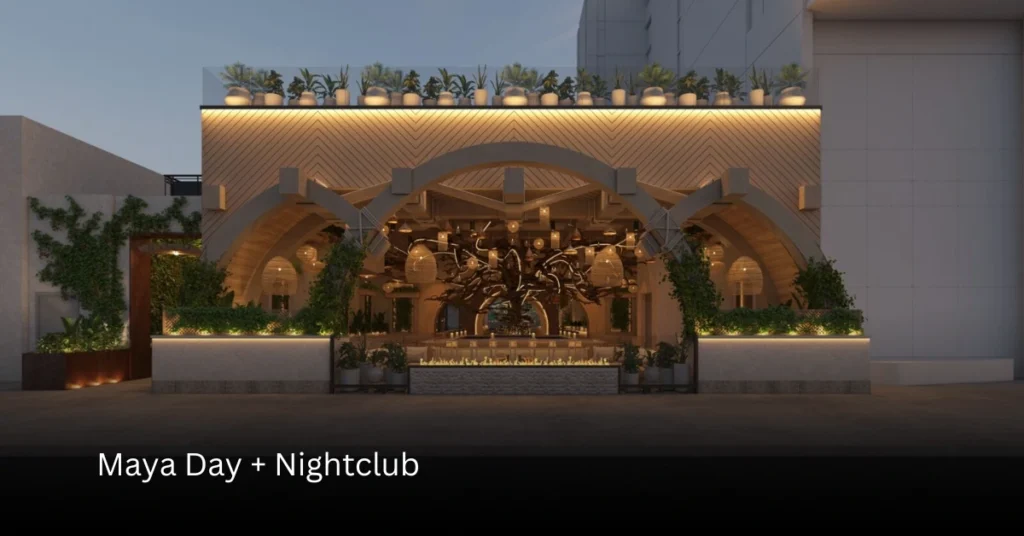 Nightlife Where the Party Comes Alive!