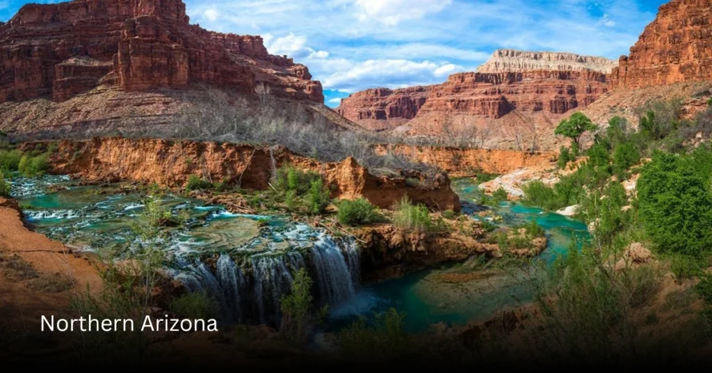 Northern Arizona