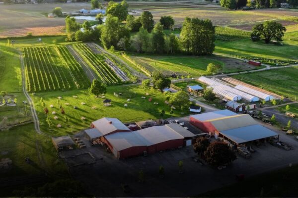 10 Best Berry Picking Spots in the USA This Fall 10 Best Berry Picking Spots in the USA This Fall