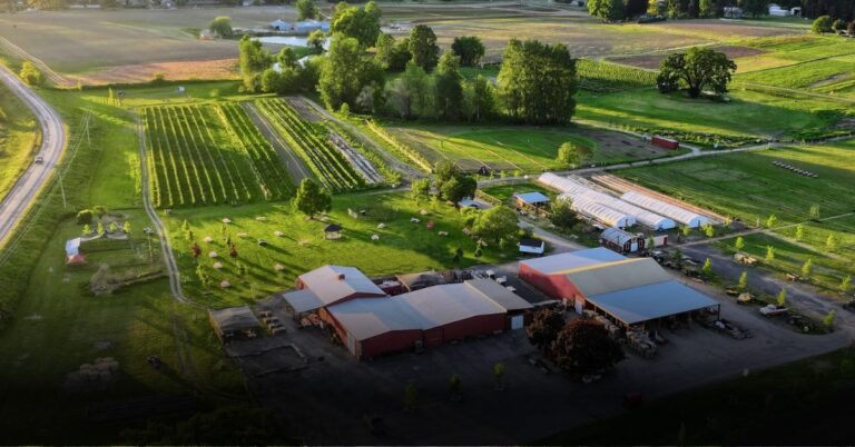 10 Best Berry Picking Spots in the USA This Fall