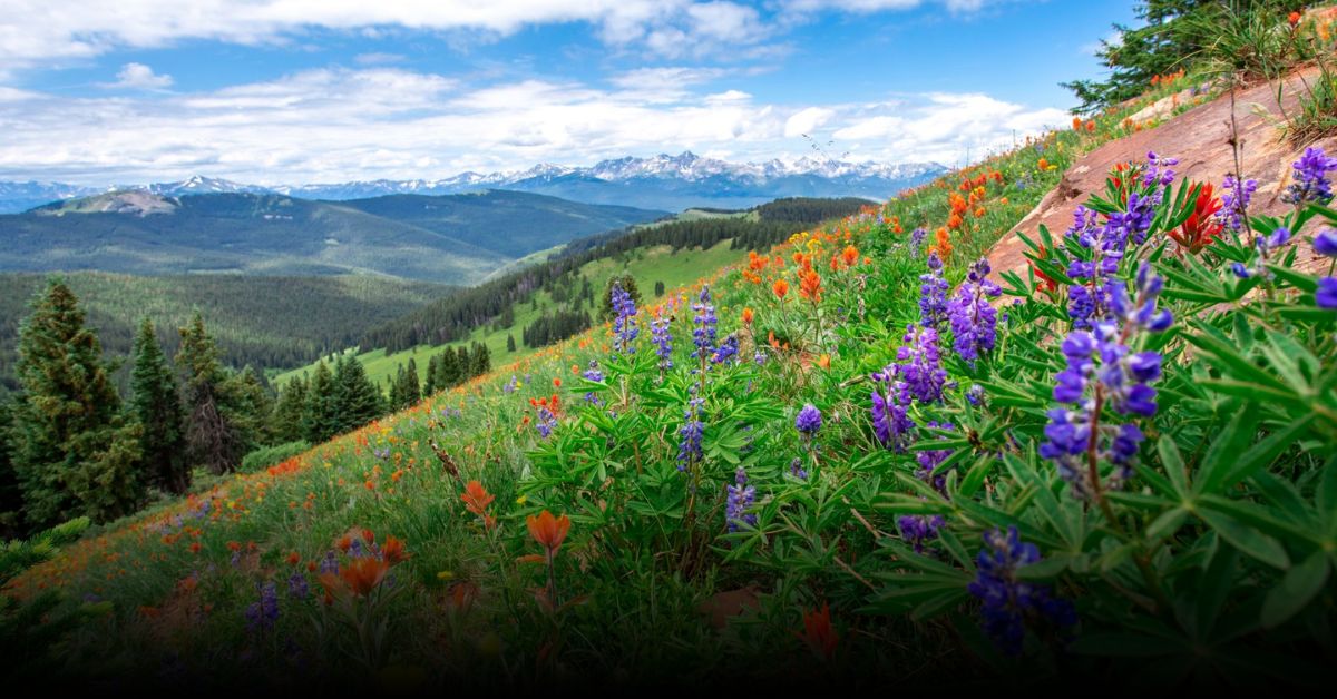 13 Best Colorado Hikes to Conquer in Late August & September