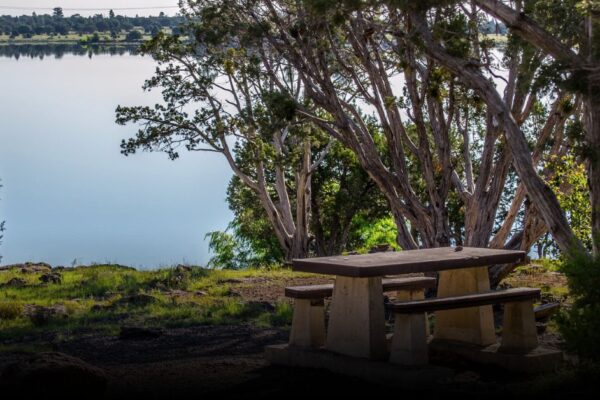 5 Best Flagstaff Camping Spots to Explore in September 5 Best Flagstaff Camping Spots to Explore in September