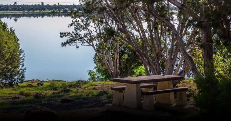 5 Best Flagstaff Camping Spots to Explore in September