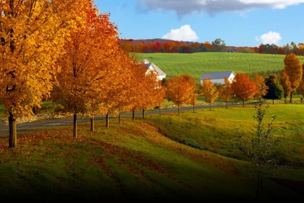 7 Best Foliage Tours in Vermont to Take This September 7 Best Foliage Tours in Vermont to Take This September