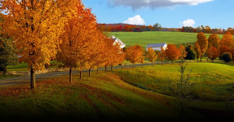7 Best Foliage Tours in Vermont to Take This September