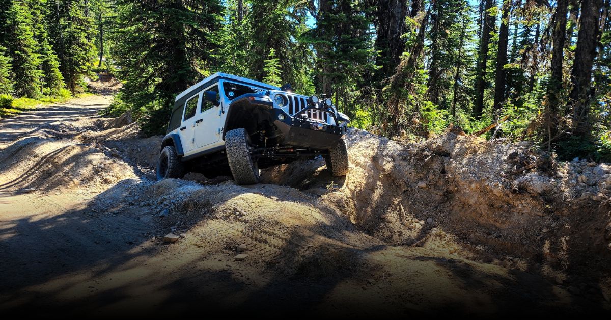 7 Best Off-Roading & Jeep Tours in Arizona This Fall