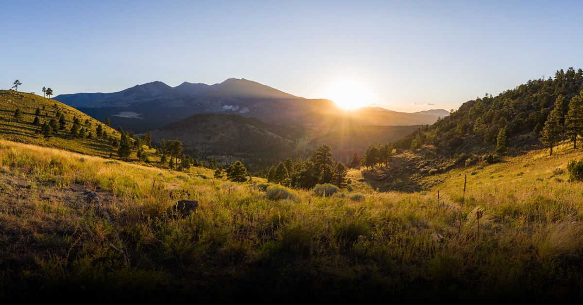 8 Breathtaking Nature Spots in Flagstaff to Explore This August (2025)