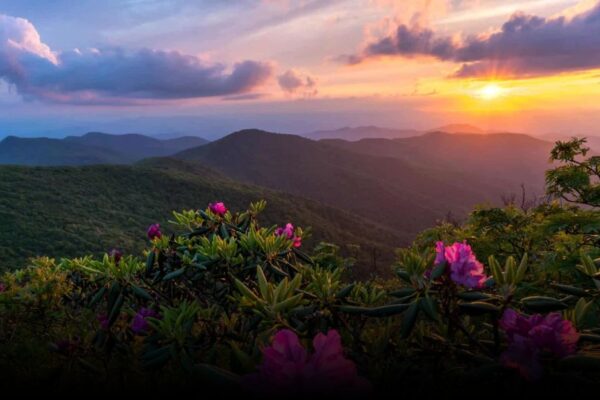 9 Best Apple Picking Destinations in the USA for September 9 Best Apple Picking Destinations in the USA for September