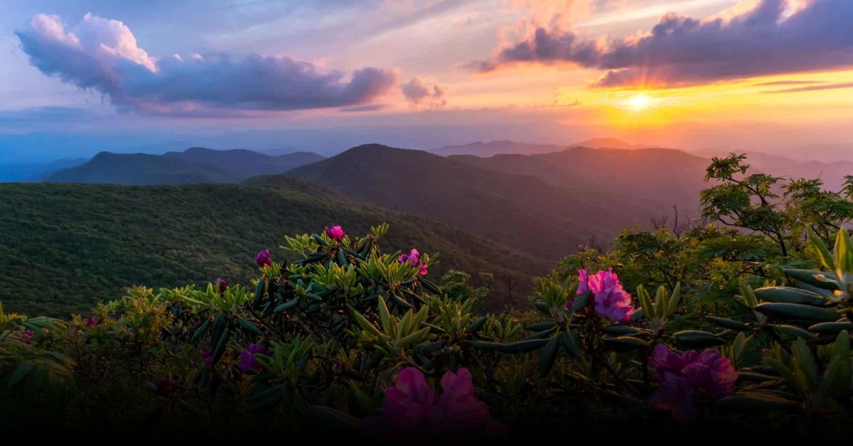 9 Best Apple Picking Destinations in the USA for September