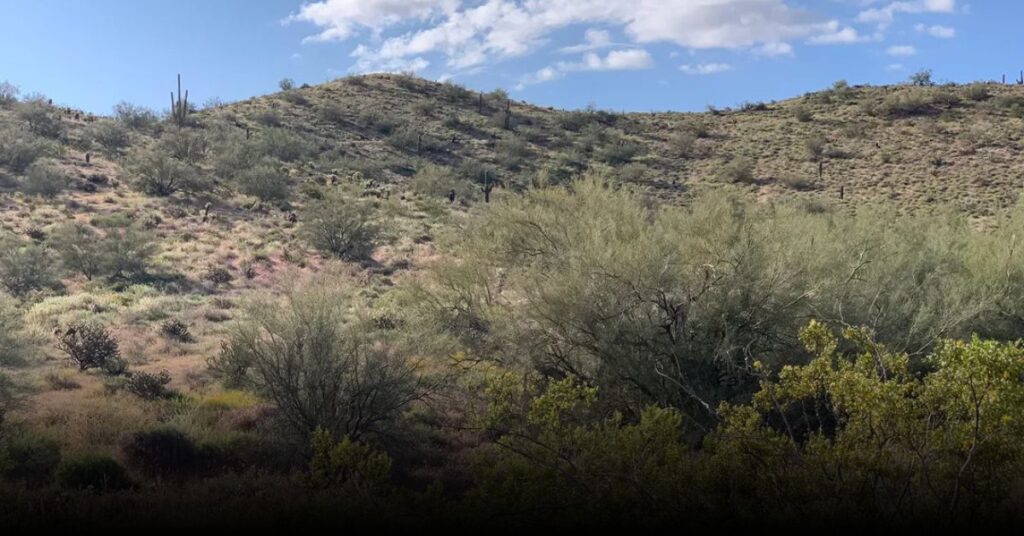 Apache Wash Loop