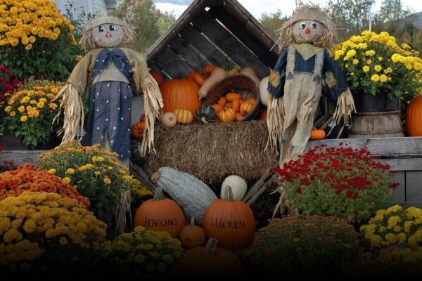 Best Apple Picking Spots in New York This Fall Best Apple Picking Spots in New York This Fall