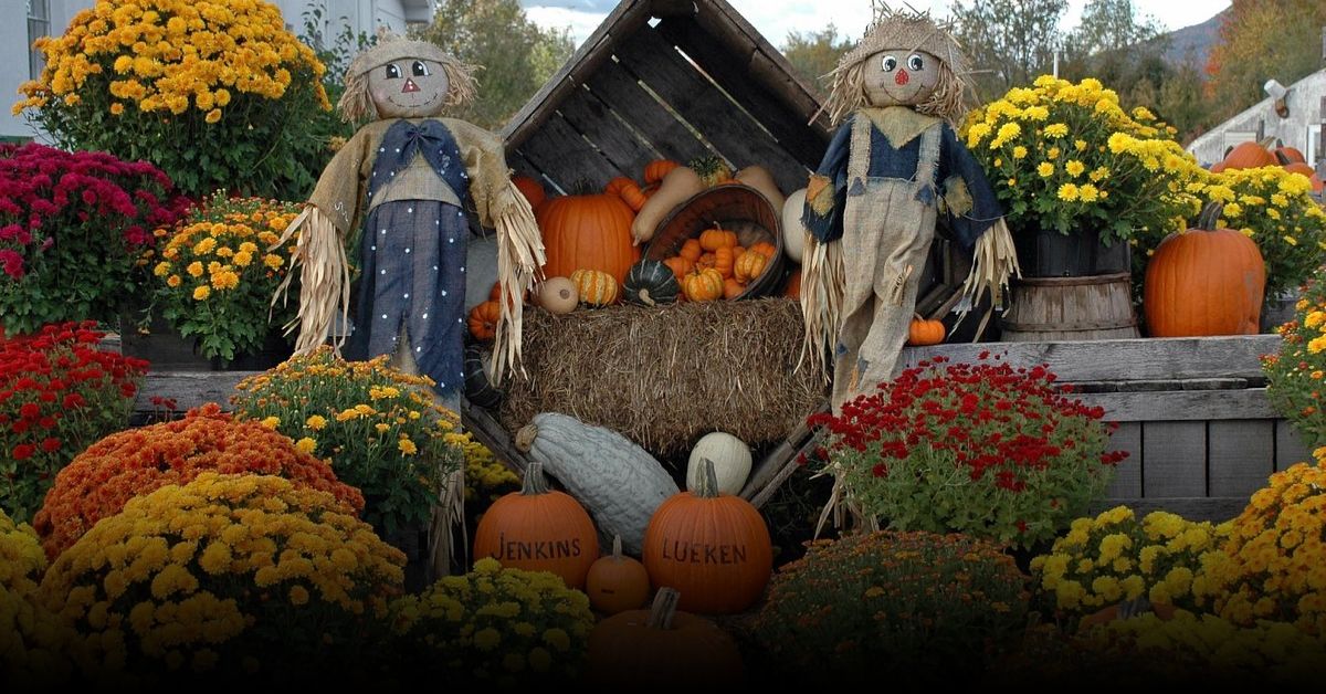 Best Apple Picking Spots in New York This Fall