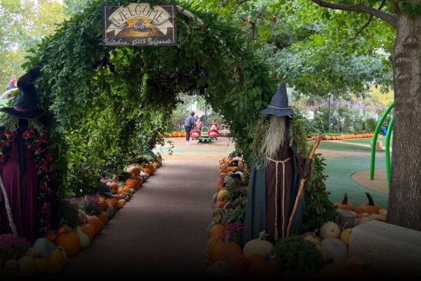 Best Pumpkin Picking Spots in New York This Fall Best Pumpkin Picking Spots in New York This Fall