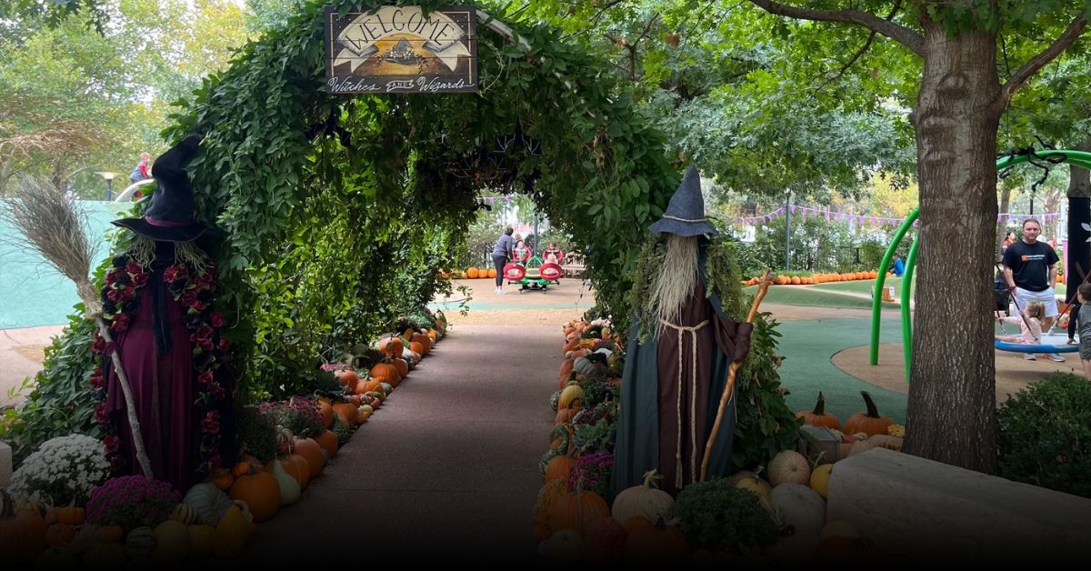 Best Pumpkin Picking Spots in New York This Fall