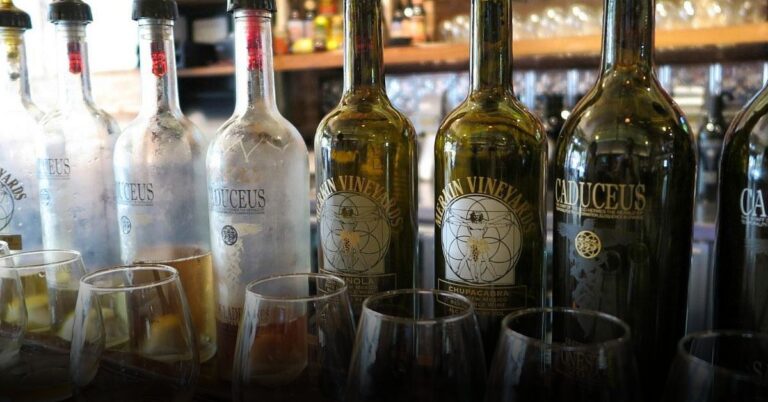 Best Wine Tasting Spots in Arizona This September