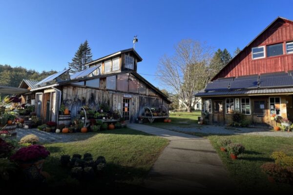 Best of the Best Berry Picking Places in Vermont for September Best of the Best Berry Picking Places in Vermont for September