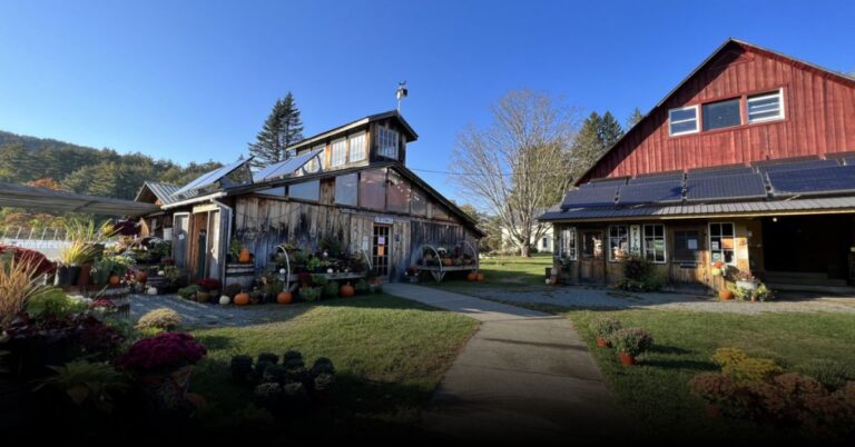 Best of the Best Berry Picking Places in Vermont for September