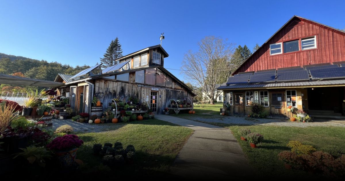 Best of the Best Berry Picking Places in Vermont for September