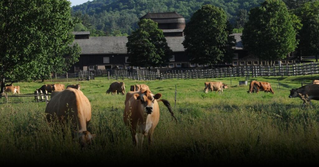 Billings Farm & Museum