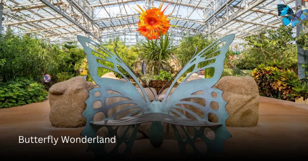 Butterfly Wonderland