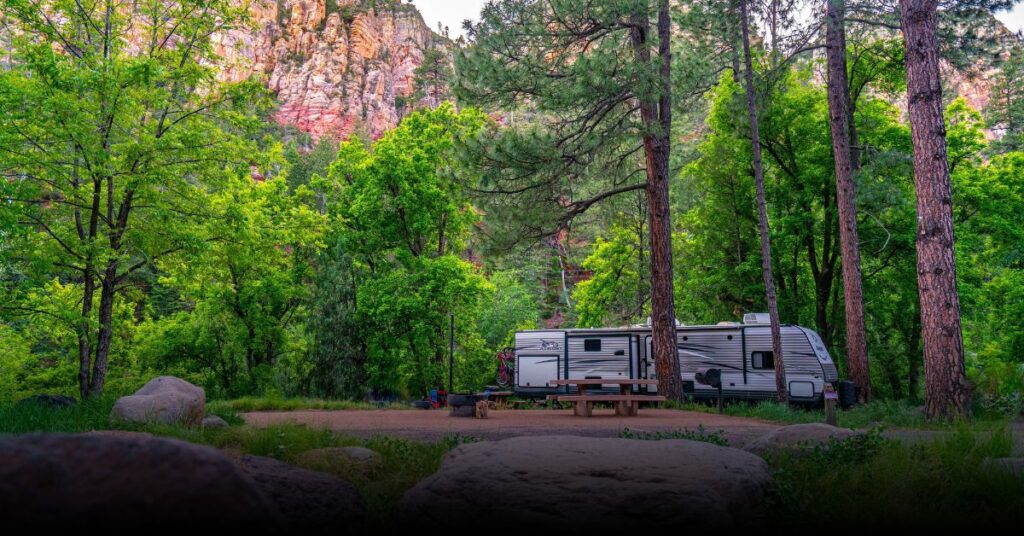 Coconino National Forest