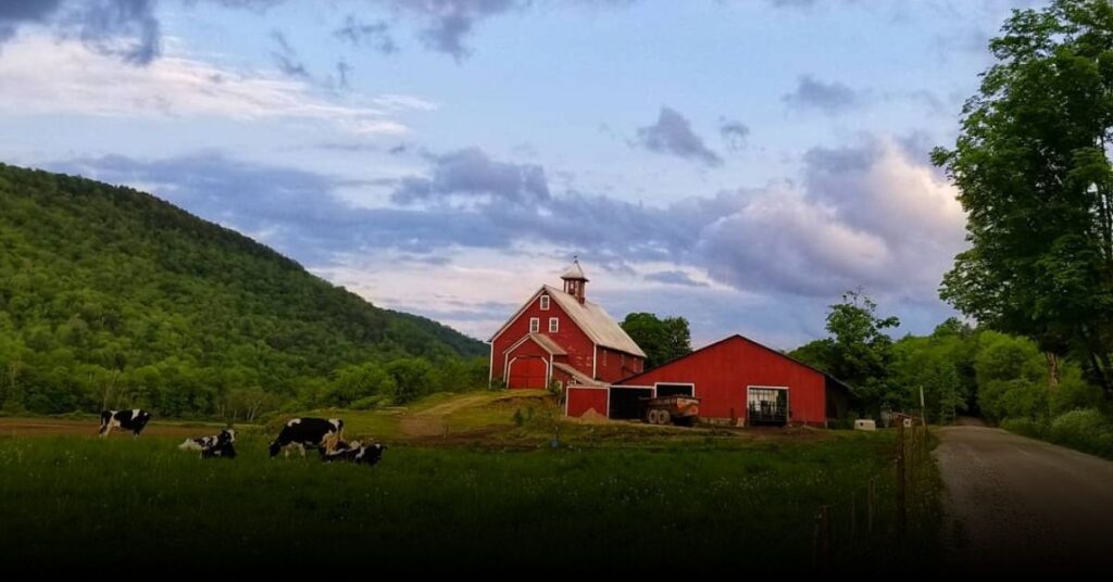 Cold Hollow Cider Mill